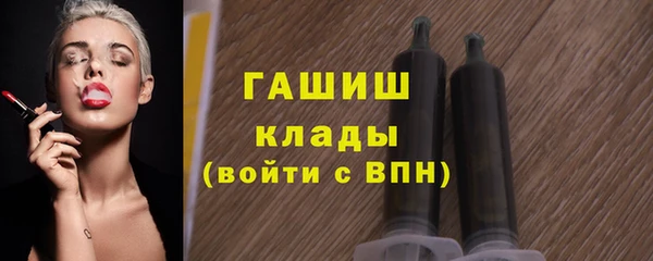 хмурый Дмитровск