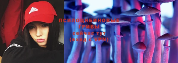 хмурый Дмитровск