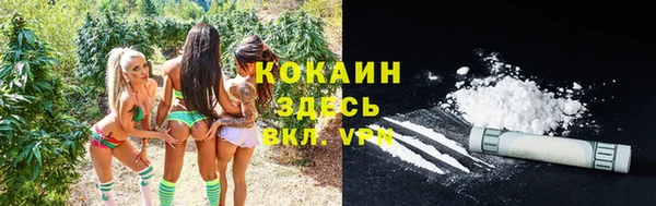 меф Дмитриев